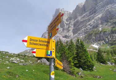 Tocht Te voet Grindelwald - CH-Abzweigung Gleckstein - Glecksteinhütte - Photo