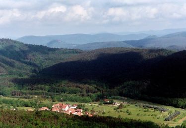 Percorso A piedi Dörrenbach - Weg der Aussichten, Dörrenbach - Photo