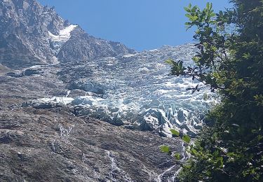 Tour Wandern Chamonix-Mont-Blanc - Chalet des Pyramides 1895m 11.7.22 - Photo