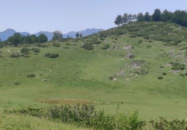 Tour Laufen Eaux-Bonnes - GOURETTE  la cabane de Bouy  