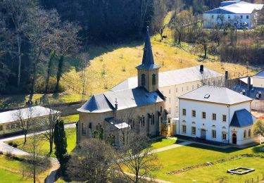 Tour Zu Fuß Helperknapp - FB Hollenfels - Photo