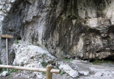 Tocht Te voet Valbrenta - Oliero di Sotto - Le Pozzette - Col d'Astiago - Photo