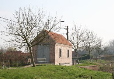 Randonnée A pied Berlare - Bareldonkpad nr 16 - Photo