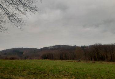 Percorso Marcia Esneux - tilff - mery via bois manant retour le long de l ourthe - Photo
