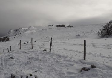 Randonnée Marche Léoncel - echaillon - Photo