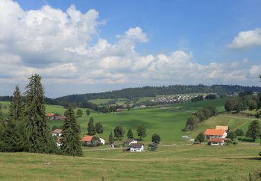 Trail Walking Goumois - Les Sommêtres - Photo