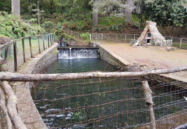 Randonnée Marche Santana - Madère : Caldeirao Verde puis Caldeirao do Inferno - Photo