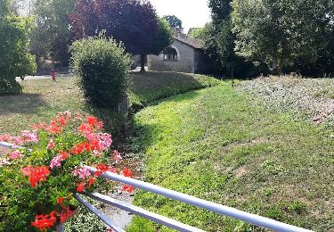 Tour Wandern Amance - au départ d'AMANCE LA VILLE AUX BOIS - Photo