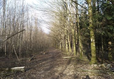 Tour Wandern Sentheim - Autour des quatres villages - Photo