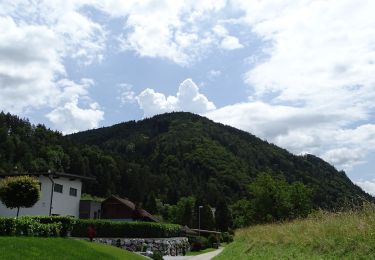 Percorso A piedi Sconosciuto - Wanderweg 6 - Photo