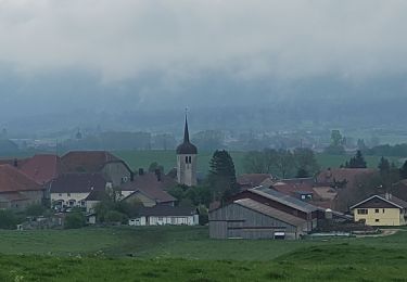 Trail Walking Frasne - Frasne  - Photo