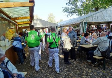 Tocht Te voet Wermsdorf - Horstsee-Rundwanderung - Photo