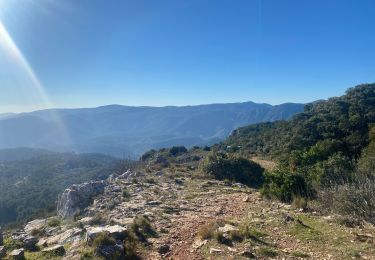 Excursión Senderismo Méounes-lès-Montrieux - Melun es . Les barres de cuers  - Photo