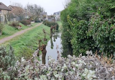 Percorso Marcia Marigny-le-Châtel - au fil de l'eau, de MARIGNY le CHATEL à SAINT FLAVY - Photo