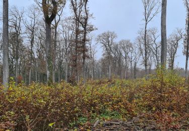 Tocht Stappen Flavigny-sur-Moselle - Flavgny - la boucle verte - Photo