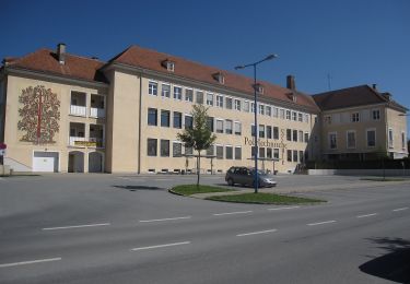 Tocht Te voet Stegersbach - Rauchwart - Stausee (Stegersbach) - Photo