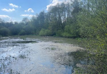 Trail Walking Fosses-la-Ville - Tour des lacs de Bambois - Photo