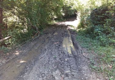 Excursión Senderismo Livron - sur traces BC 2019 - Photo