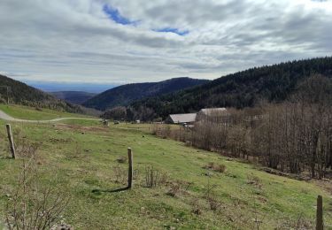 Randonnée Marche Rimbach-près-Guebwiller - Rimbach  - Photo