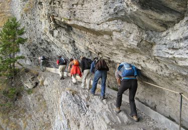 Excursión A pie Icogne - Pra du taillour-Pas de l'ours - Photo