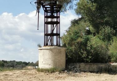 Tocht Stappen Évenos - Evenos - Vallon de la Capucine - Les Andrieux - Photo