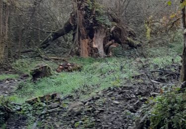 Tour Wandern Durbuy - mont pele ac 5 - Photo