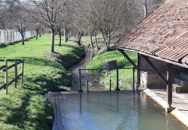 Trail On foot Esternay - ESTERNAY : à l'est d'Esternay - Photo