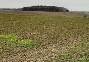 Trail Walking Jodoigne - molembais - Photo