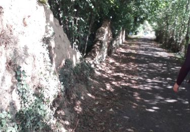 Tour Wandern Acquigny - Acquigny -Vers le Becdal par la mare Hermier - Photo