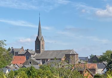 Excursión Senderismo Gerpinnes - Fromiée Gougnies  - Photo