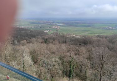Trail Walking Westhalten - Westhalden Schauenberg  - Photo