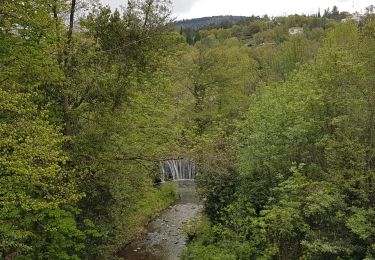 Excursión Senderismo Lodève - Saint-Martin - L'Ambeyran - Photo