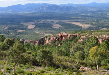 Excursión Senderismo Le Muy - Pk sur D47 - Rocher de la Fille d'Isnard - Pas du Confessionnal - Pic Rébéquier - Pont de l'Endre - Château du Rouet - Photo