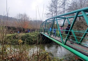 Tocht Stappen Ham-sur-Heure-Nalinnes - 2023.11.30. Tamalous de la Botte  - Photo