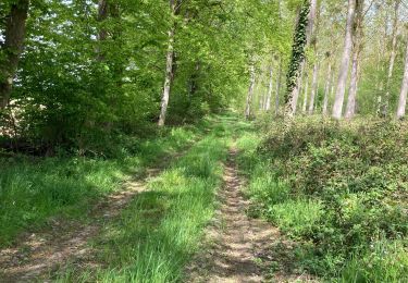 Tocht Stappen Villeselve - Villeselve - Photo