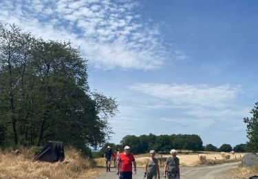 Randonnée Marche Rochefort - Wavreille - Photo