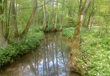 Tocht Te voet Sulzbach-Rosenberg - Siebeneichener Rundwanderweg - Photo