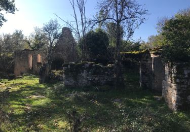 Excursión Senderismo Loubressac - Laguizayrie - Photo