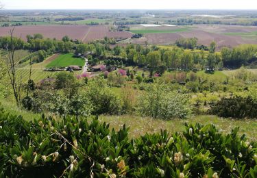 Trail Walking Piquecos - Piquecos - Photo