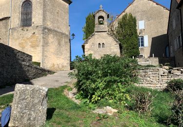 Trail Walking Voiteur - Château Chalon 27-10-2022 - Photo