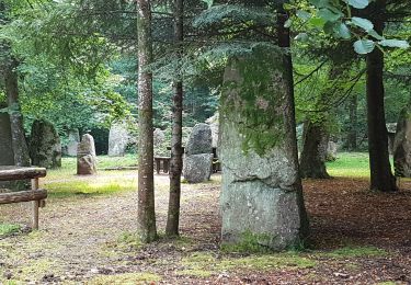 Trail Walking Rosheim - Eichwald - Tour du Heidenkopf - Photo