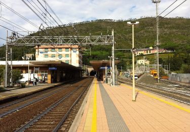 Tour Zu Fuß Levanto - Albero d'Oro – S.Bartolomeo – M.Bardellone - Campodonia - Photo