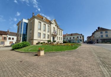 Trail Road bike Joigny - EXT 105 Joigny-01 - Photo
