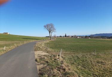 Tocht Stappen Saint-André-de-Chalencon - boucle Saint André  - Photo