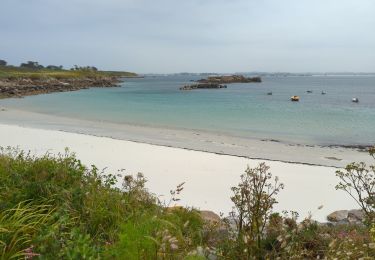 Trail Walking Île-de-Batz - Île de Batz  - Photo