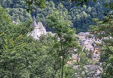 Excursión Senderismo Clervaux - clervaux - Photo