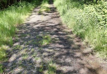 Tocht Stappen Alleyras - balade en J'ai vos dents - Photo