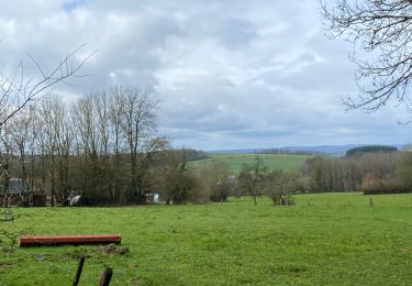 Trail Walking Marche-en-Famenne - Champlon  -Famenne - Photo