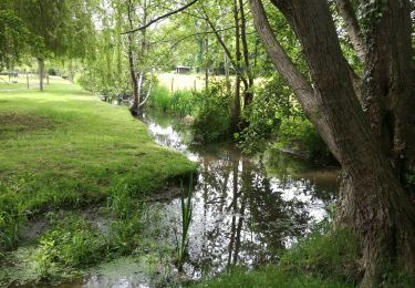 Randonnée Marche Nassandres sur Risle - Le petit Nassandre - Photo