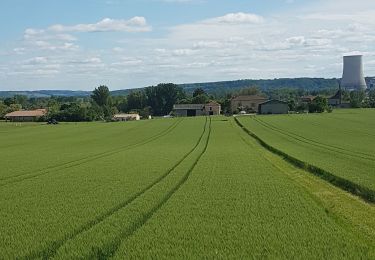 Randonnée Marche Clermont-Soubiran - Les Acacias-Ebrard-Labro - Photo